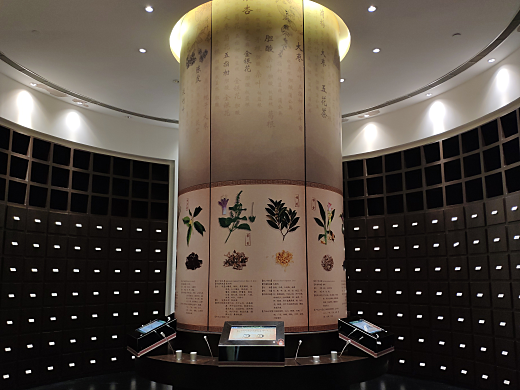 博物馆内景 博物馆内景