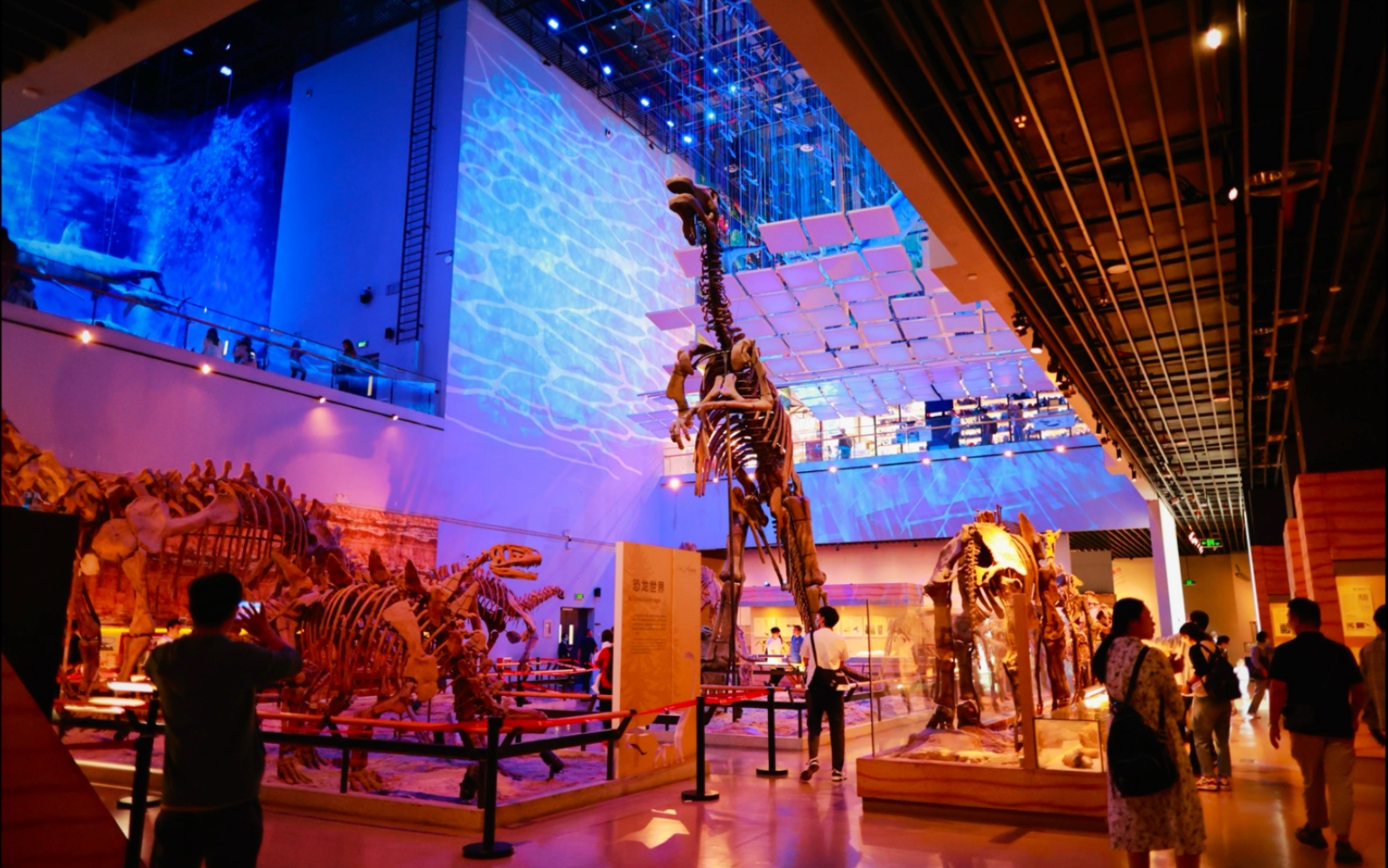 侏罗纪展馆 侏罗纪展馆