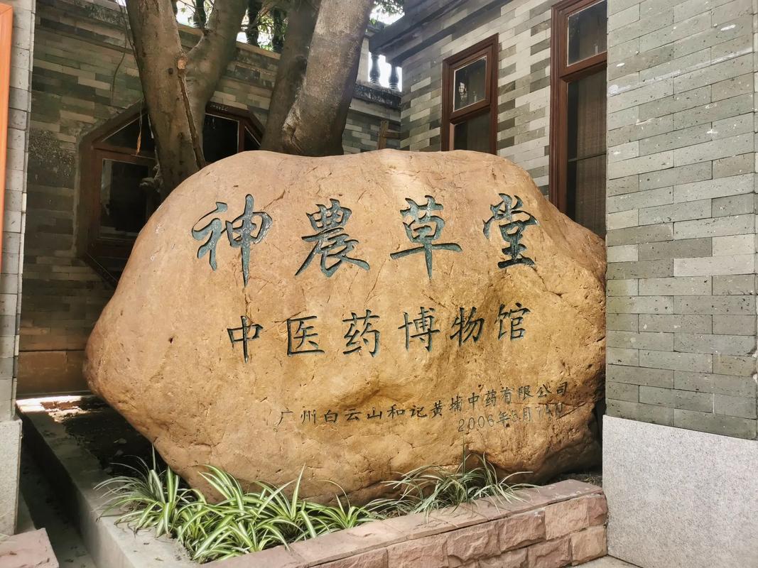广州神农草堂中医药博物馆