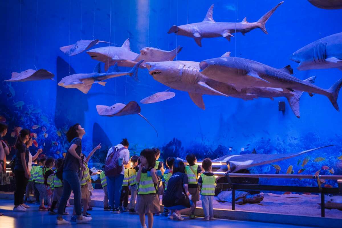 海洋展馆 海洋展馆