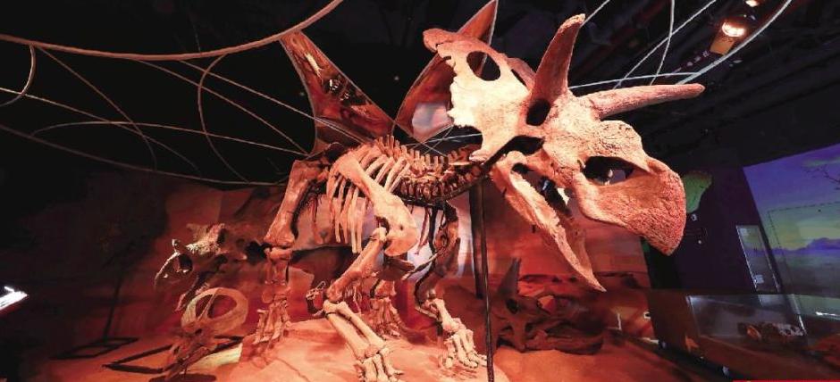 展厅一角 展厅一角